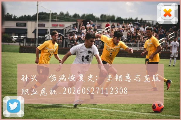 孙兴慜伤病恢复史:坚韧意志克服职业危机_20260527112308